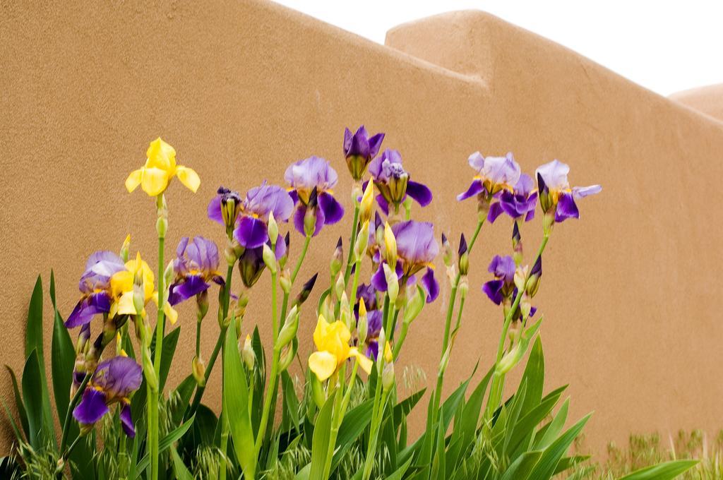 Fort Marcy Suites By All Seasons Resort Lodging Santa Fe Exterior foto